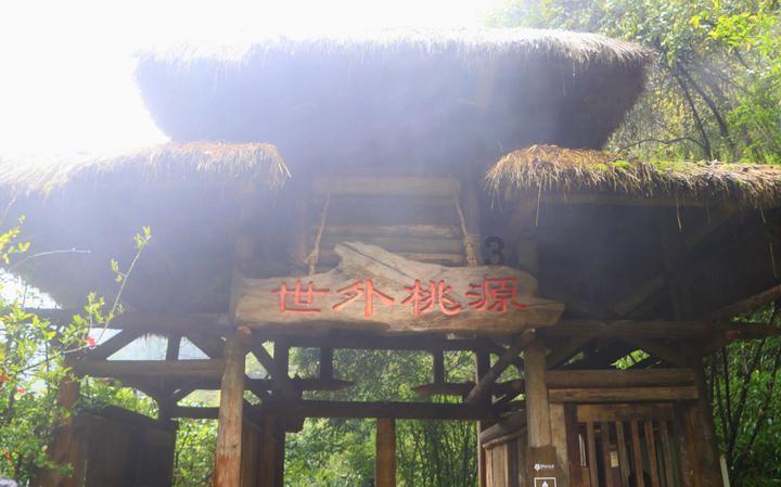 探索邻居家孩子六个月就坐学步车了,婴儿多大可以坐学步车? 知识星球,解锁你的学习天地